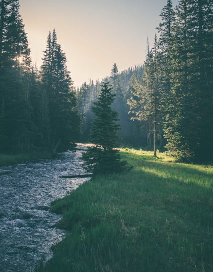 山から流れる綺麗な川