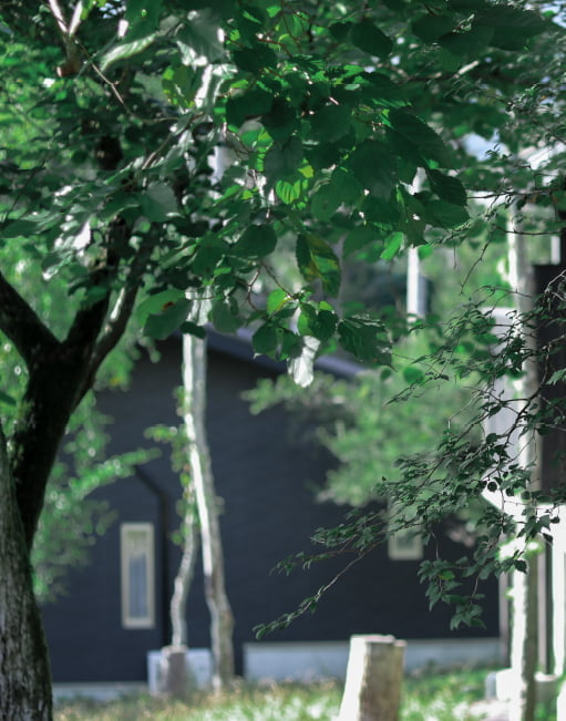 自然溢れる貸別荘Gufo富士山中湖の施設外風景