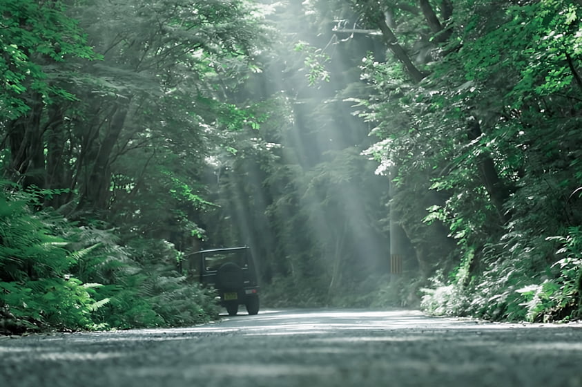 Gufoに向かう道中の車