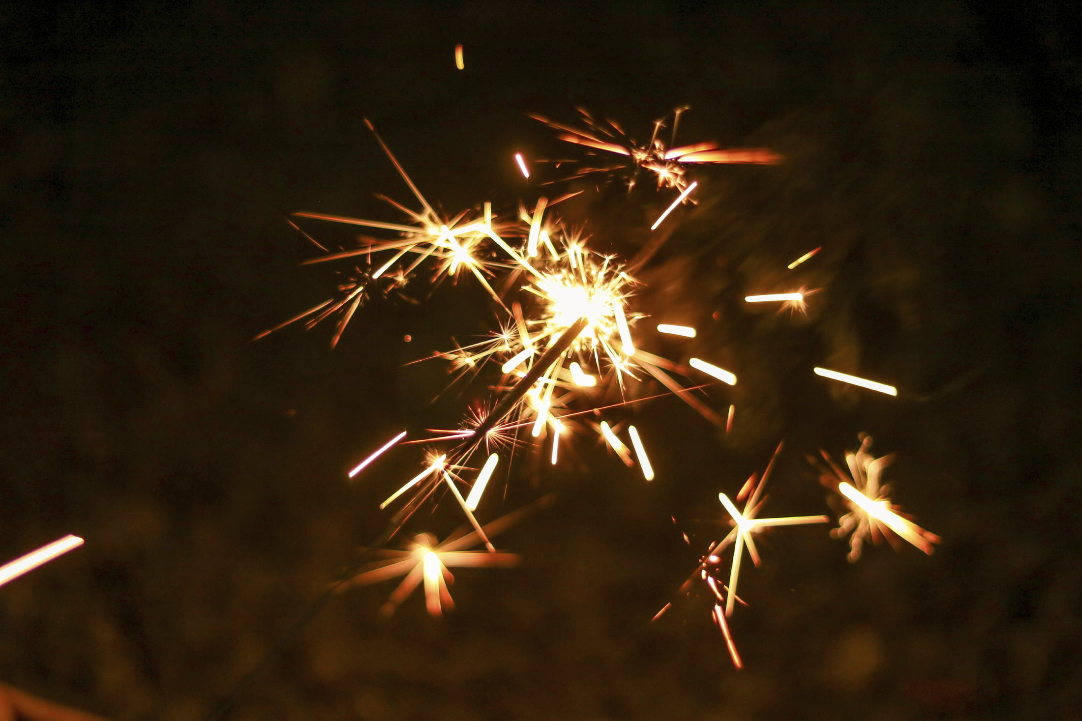 たき火を楽しむ家族