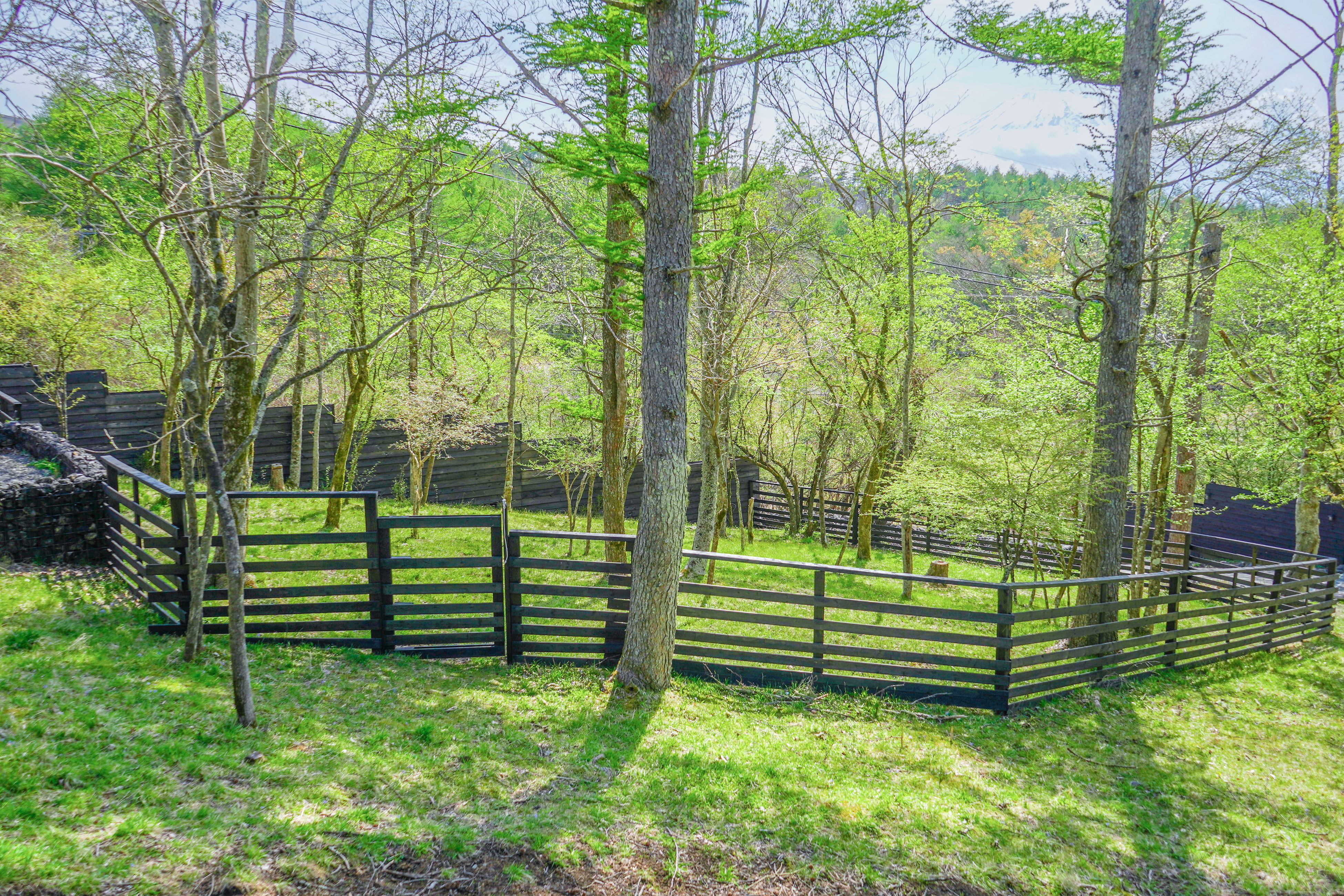 Gufoのドッグラン施設