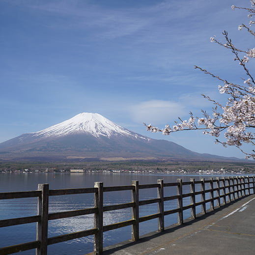 山中湖親水公園