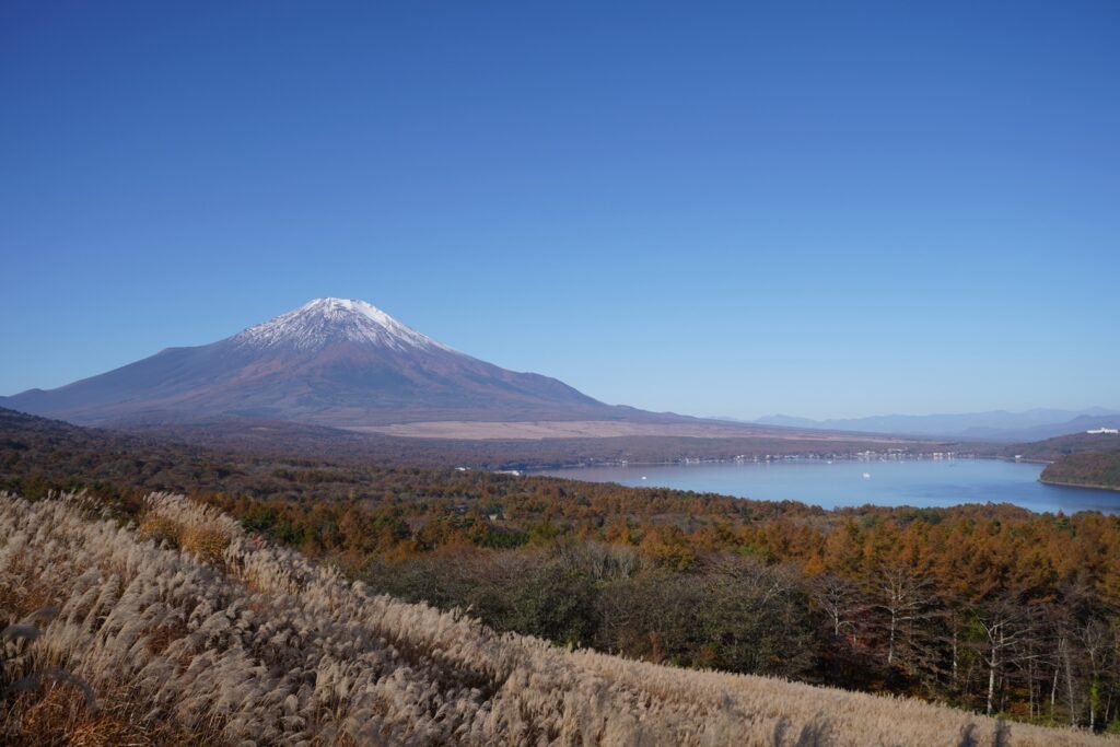 Yamanakako&Fuji